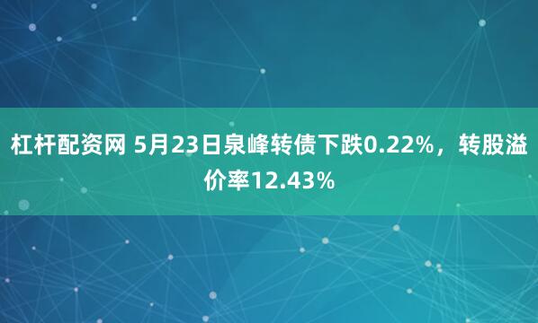 杠杆配资网 5月23日泉峰转债下跌0.22%，转股溢价率12.43%