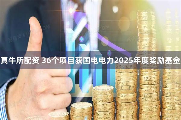 真牛所配资 36个项目获国电电力2025年度奖励基金