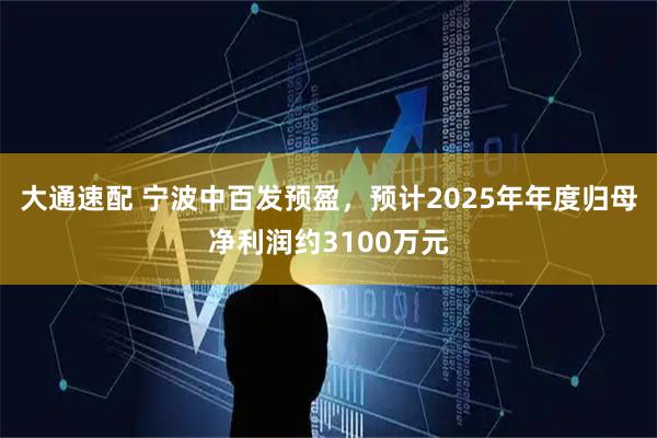大通速配 宁波中百发预盈，预计2025年年度归母净利润约3100万元