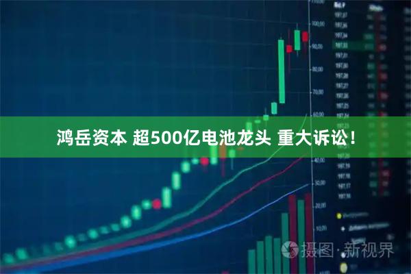 鸿岳资本 超500亿电池龙头 重大诉讼！