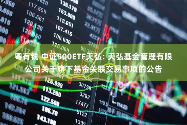 粤有钱 中证500ETF天弘: 天弘基金管理有限公司关于旗下基金关联交易事项的公告