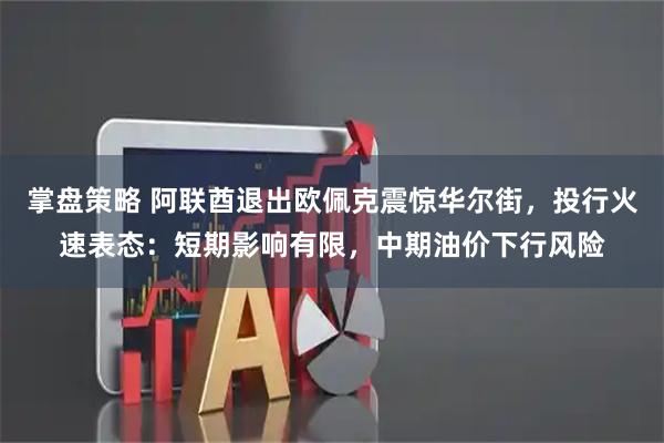 掌盘策略 阿联酋退出欧佩克震惊华尔街，投行火速表态：短期影响有限，中期油价下行风险