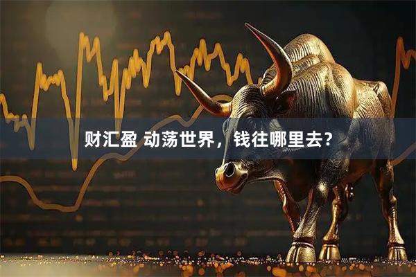 财汇盈 动荡世界，钱往哪里去？